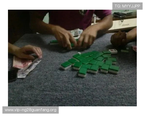 二八杠作品集游戏策略大全，深入剖析不同玩法的实用技巧与实战经验